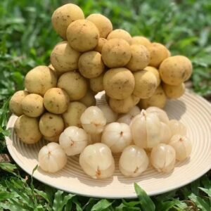 Fresh lansones (organic fruit)-US