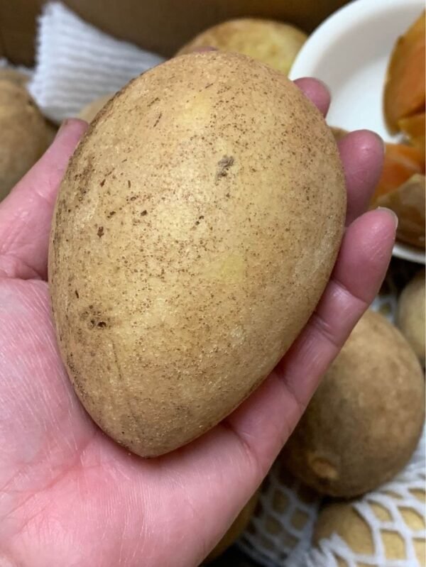 Fresh sapodilla(organic Fruits)-P - Image 3