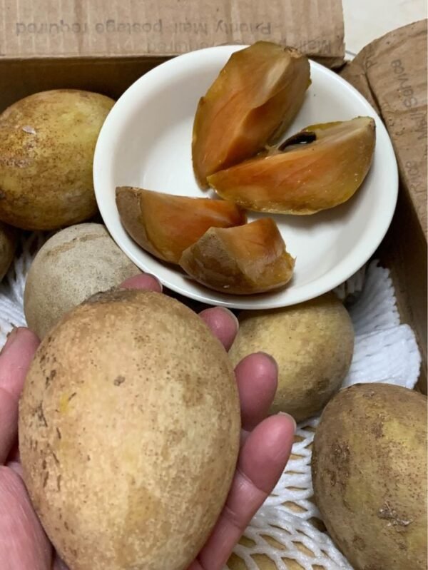 Fresh sapodilla(organic Fruits)-P - Image 4