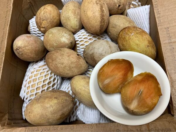 Fresh sapodilla(organic Fruits)-P - Image 5