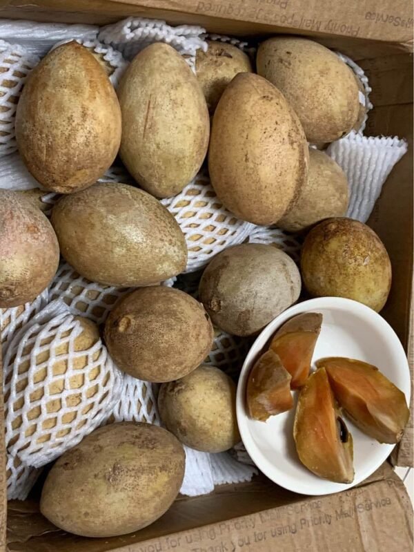 Fresh sapodilla(organic Fruits)-P - Image 6