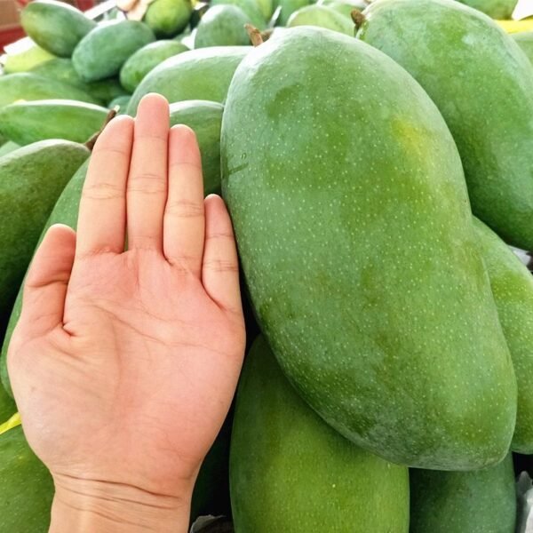 Fresh Thai mango (organic fruit)-P - Image 3