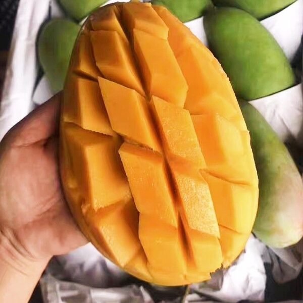 Fresh Thai mango (organic fruit)-P - Image 7