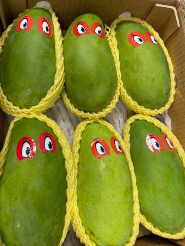 Fresh Thai mango (organic fruit)-P