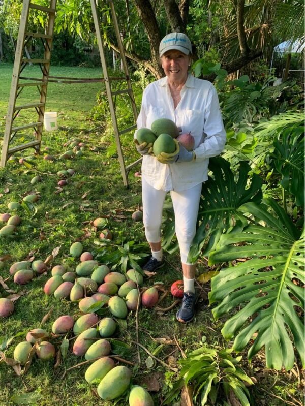 Fresh Thai mango (organic fruit)-P - Image 8