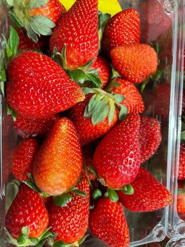 Fresh strawberry (organic fruit)-P - Image 4