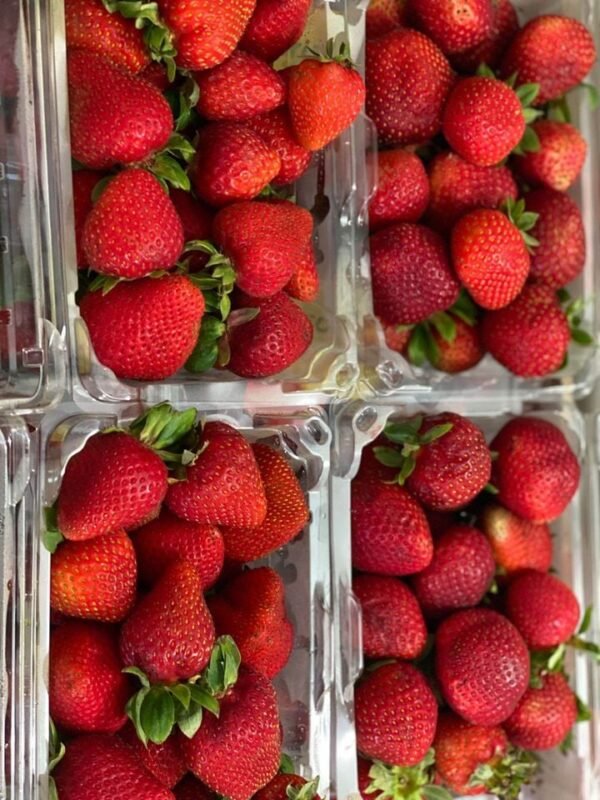 Fresh strawberry (organic fruit)-P - Image 5