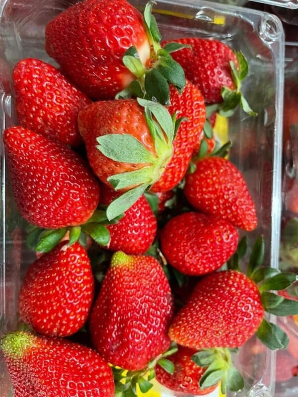 Fresh strawberry (organic fruit)-P - Image 6