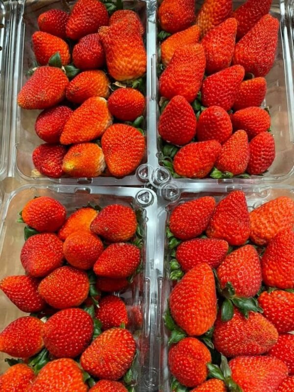 Fresh strawberry (organic fruit)-P - Image 7