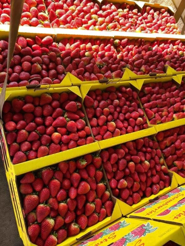 Fresh strawberry (organic fruit)-P - Image 2