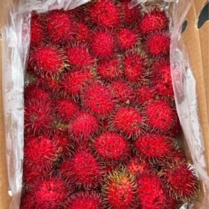 Fresh rambutan (organic fruit)-US