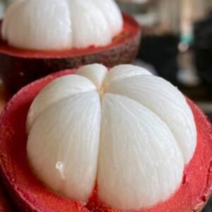 Fresh mangosteen (organic fruit)-US