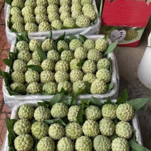 Fresh sugar apple (organic fruits)-US