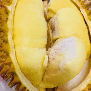 Thai golden pillow durian (organic fruit)-US